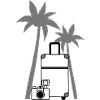 Camera Suitcase Palme