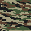 Camouflage pattern green