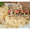 Hand cheese with music