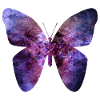 Papillon violet