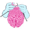 Brain Construction