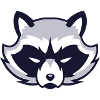 Raccoon animal