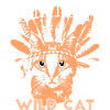 Shaman wild cat