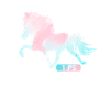 Islandpferd