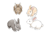 Rabbits Frends