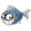 Hoi shark