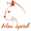 FELINE SPIRIT