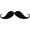 The Poirot