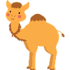 Sweet camel