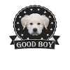 Chien bon garçon mignon