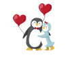 Amour de pingouin