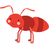 ant