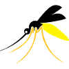 Mosquito