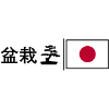 bonsai