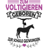 Voltigieren
