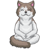 Cat doing cross-legged yoga