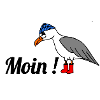 Moin, Möwe