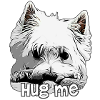 Westie Hug Me Kram mig West Highland Terrier