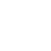 A flying fish