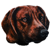 Welding dog portrait