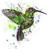 Hummingbird