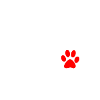 Rescue Dog T Shirts