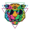 TIGER FUN