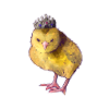 Poulet princesse poulet poulet poussin princesse