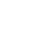 The Original