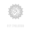 Psytrance Evolution Pandemic Mandala