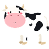 cow