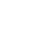 canard