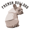 Bouledogue français avec capuche
