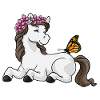 Pferd Blumenkranz