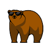 Brown bear bear with sunglasses