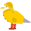 Möwe im Friesennerz
