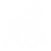 Joueur d'échecs maître d'échecs échecs