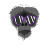 grim monkey with sunglasses