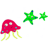 Jellyfish starfish aquarium