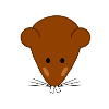 Mouse tooth