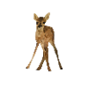 Bambi