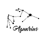 Zodiac sign Aquarius / Aquarius