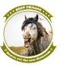 Laughing horse with braces