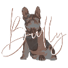 Bully font