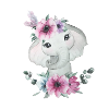 Elefant