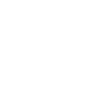 Skydive Evolution parachutist