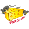 Mouse with Swiss CHese