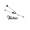 Zodiac sign Taurus / Taurus