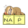 Sloth Nap