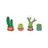 Cacti